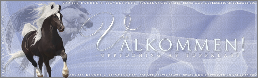 Blå vinter banner